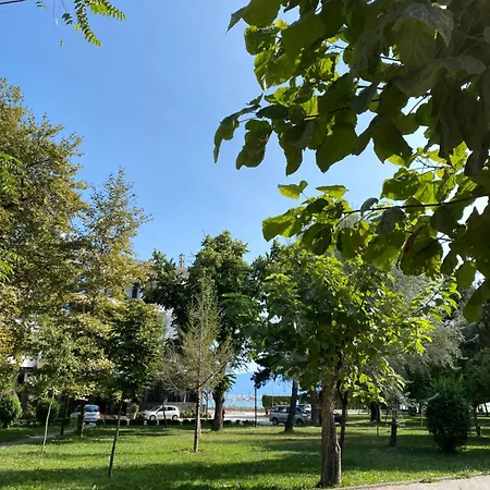 Matilde * Pogradec