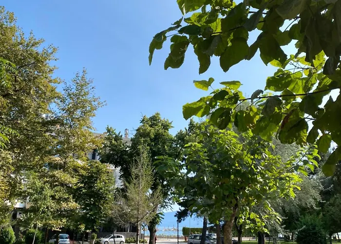 Matilde * Pogradec
